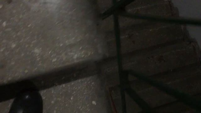 2024 02 13 смотреть онлайн