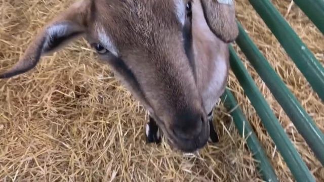 Life Last Week 05-23-22 смотреть онлайн