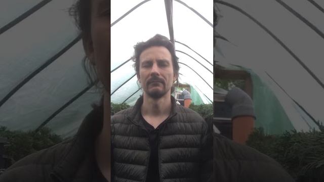 42 день медитации по Mindfullnes. Что будет дальше? смотреть онлайн