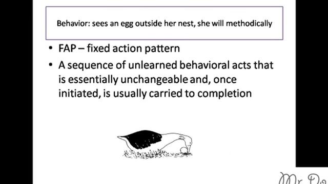 behavioral ecology ethology proximate ultimate question fap fixed action pattern смотреть онлайн