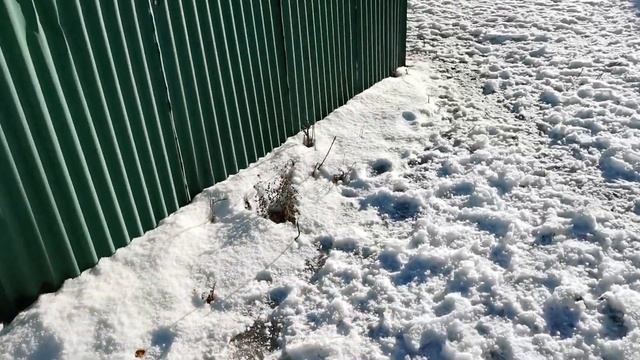 T'as d'beaux yeux, tu sais! смотреть онлайн