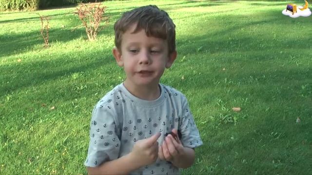 Вкусные уроки для малышей. Шелковица смотреть онлайн