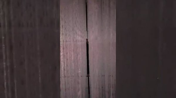 Tokyo Team Labs Digital Art Gallery