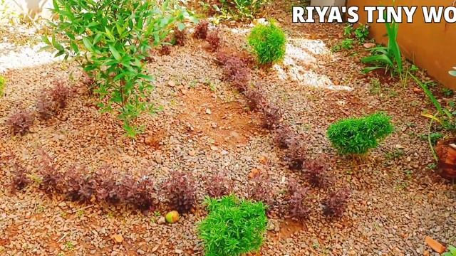 Gardening ideas/simple/RIYA’S TINY WORLD смотреть онлайн