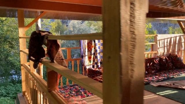 Shohimardon 24.06.2022 смотреть онлайн