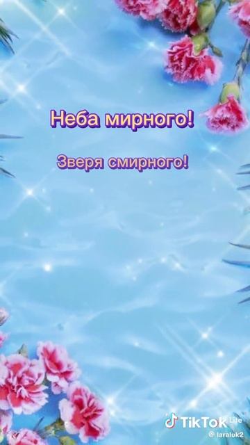 1000007441.mp4 смотреть онлайн