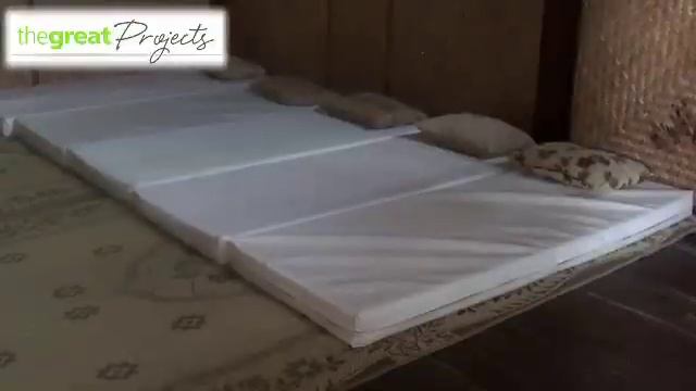 Teach English At Orangutan Centre In Indonesia