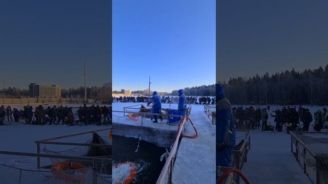 Запуск форели смотреть онлайн