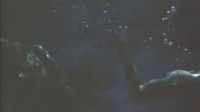 Dolphin And Woman смотреть онлайн