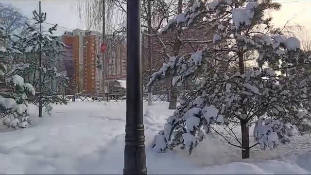 Чернево-Успенский пруд и сквер рядового Назырова, парк культуры и отдыха г. Красногорск-10.02.24г. смотреть онлайн