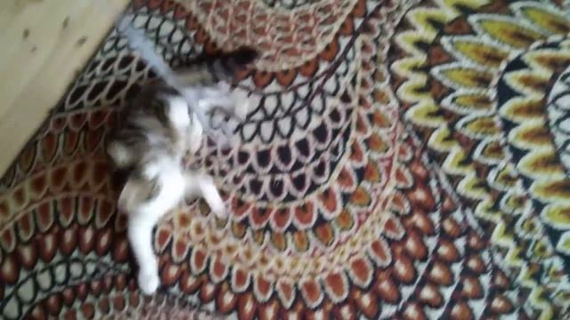 Ангелы тоже любят играть смотреть онлайн