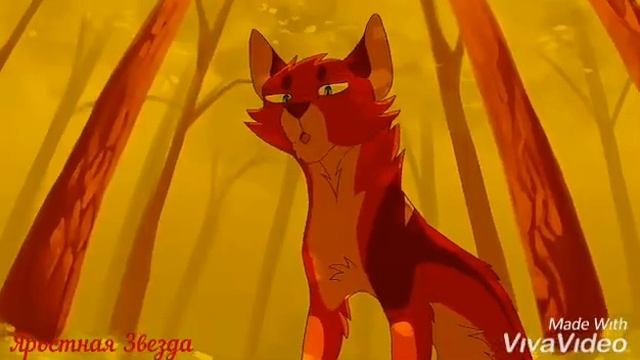 Коты-Воители Звездоцап - Natural смотреть онлайн