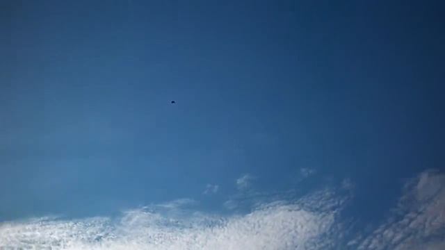 про голубей полет голубей и голубятня смотреть онлайн