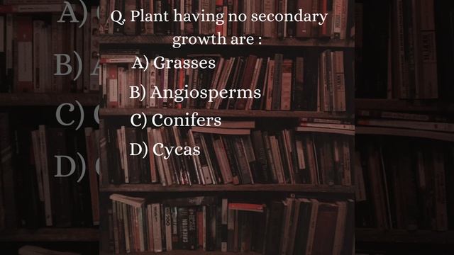 Anatomy Of Flowering Plants NEET 2023