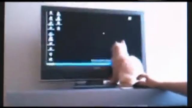 (45) Занимательные ролики смотреть онлайн