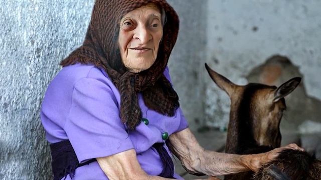 тата раздает автографы смотреть онлайн