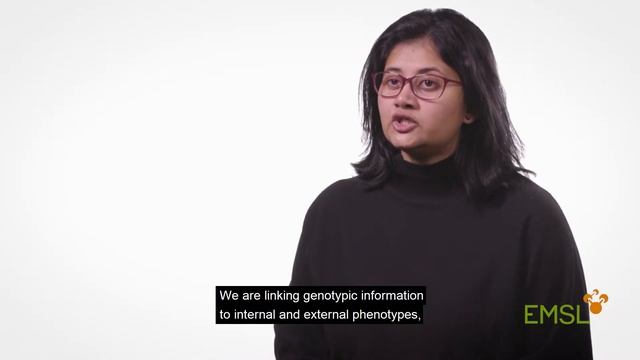 Molecular Plant Phenotyping смотреть онлайн