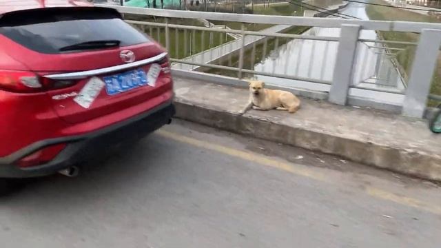 Китай. Снова в эфире смотреть онлайн