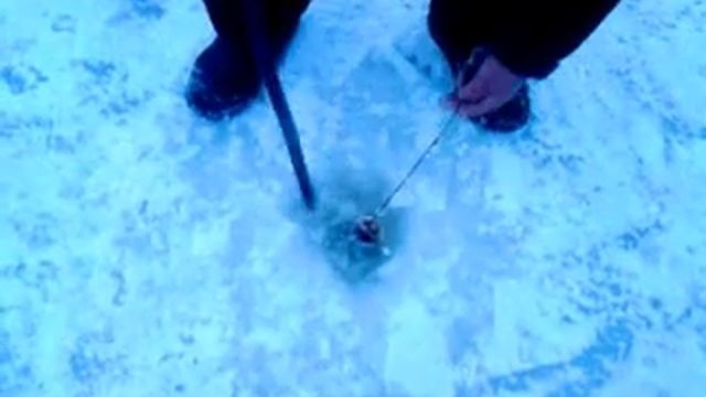 Судак на силикон. смотреть онлайн