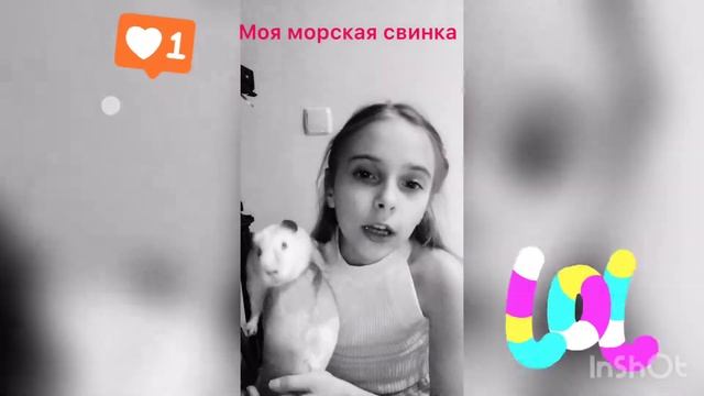 МОЯ МОРСКАЯ СВИНКА!!!! смотреть онлайн