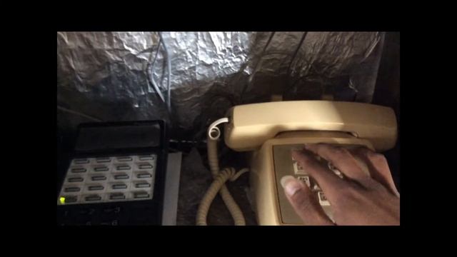 PBX Showcase #5: Telephone Touch-Tone Tunes смотреть онлайн