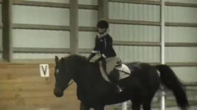 Talia Dembner Balanced Eq смотреть онлайн