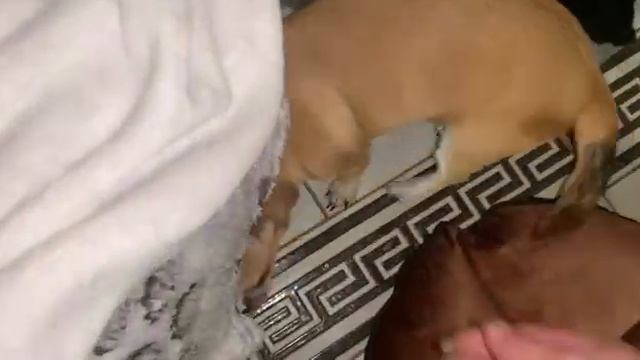 Всем спокойной ночи и самых и добрых снов. смотреть онлайн