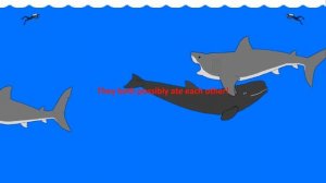Livyatan and Megalodon - Animated Size Comparison - (extinct whale and shark) Sea Monsters!