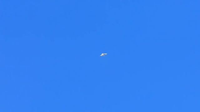 15.03.2022. Голуби Луганска. смотреть онлайн