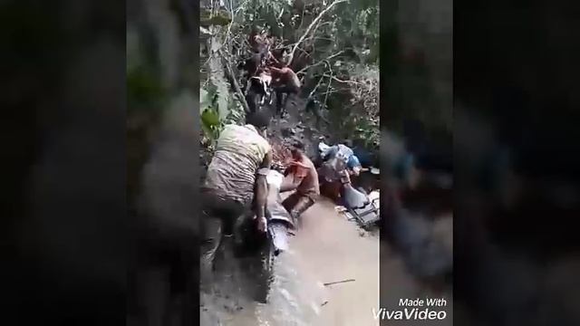Primera trilha papa lama смотреть онлайн