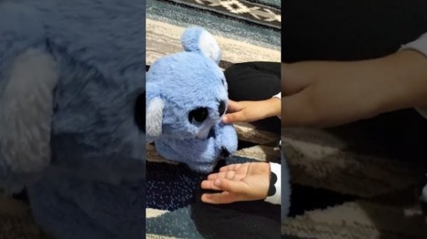 My Fuzzy Friend - Snuggling Koala