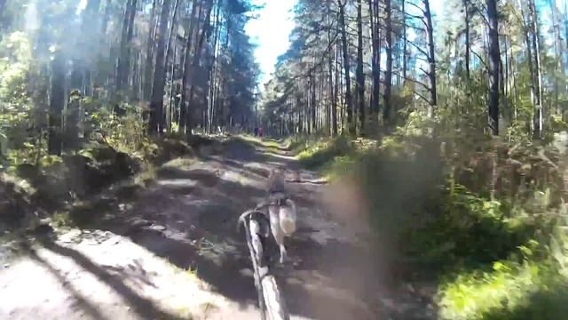 ФЕС Владимирской области Гонка "Битва Городов" смотреть онлайн