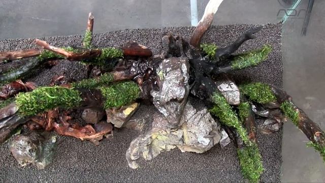 [ADAview] 色彩の対比が美しい三角構図レイアウト -Layout in a triangular composition with beautiful color contrast смотреть онлайн