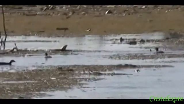 Eu fara tine. смотреть онлайн