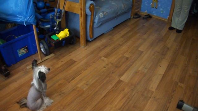 выдержка: сидеть-ко мне смотреть онлайн