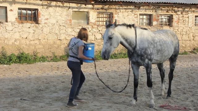 Квалификация на 1й уровень Гром. 4 Осень 2012 смотреть онлайн