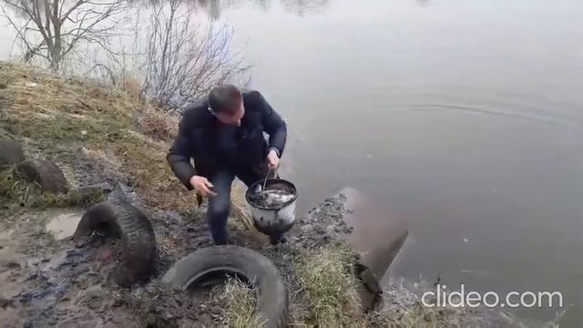 Зариблення коропом ставка в с.Поршна Львівської області ( "ставок з ліліями ") 25березня 2021 року смотреть онлайн