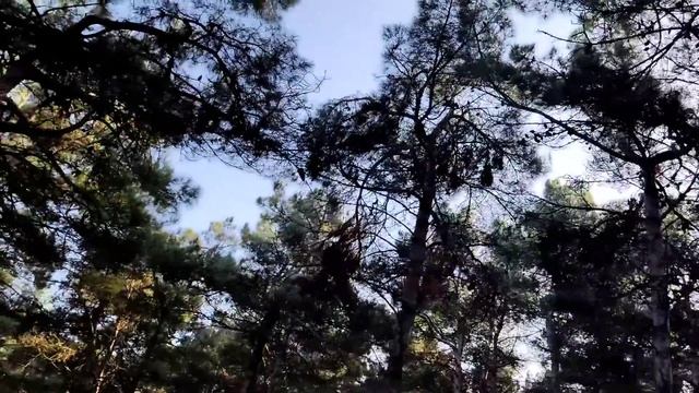 21 декабря 2021 г. смотреть онлайн