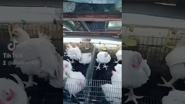 10 марта 2023 г. смотреть онлайн