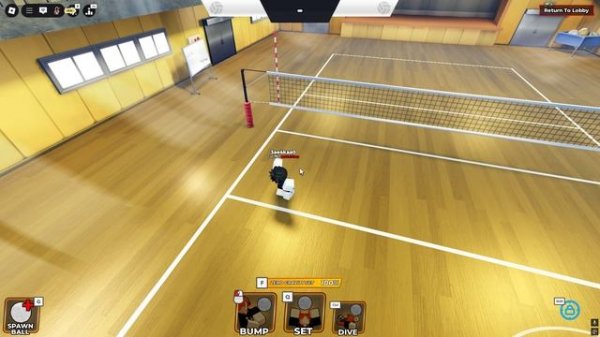 Volleyball legends bug