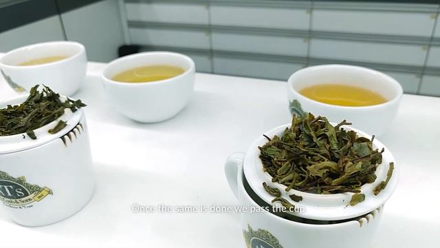 Tea Tasting Process Video for B2B Tea Manufacturer & Exporter Business смотреть онлайн