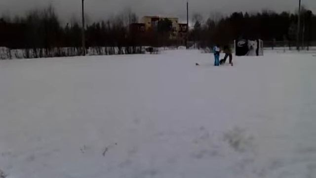 Голден Фалькон Диво Тайгер смотреть онлайн