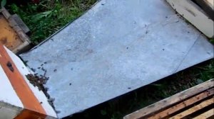 Создание искусственного роя