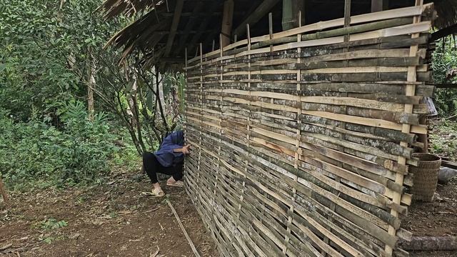 Single Mother - Harvests Melons To Sell At The Market - Improves Meals For Her Children| Lý Thị Thụ