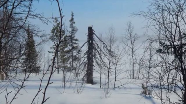 Руся Урд смотреть онлайн