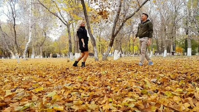 Золотая осень в любимом парке смотреть онлайн