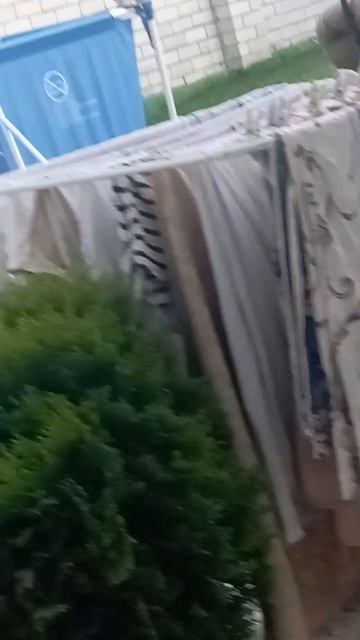 КОТОСОВОДЕЛЬФИН..РИЛИ МОРСКОЙ КОТ..СТОРОЖЕВОЙ..ДЯДЯ ТОЖЕ ПРИСТАЕТ К"МАНУЛУ"😂💘🐉 смотреть онлайн