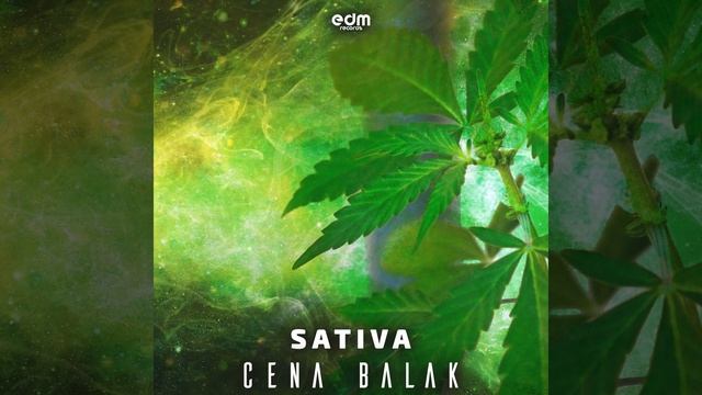 Sativa смотреть онлайн