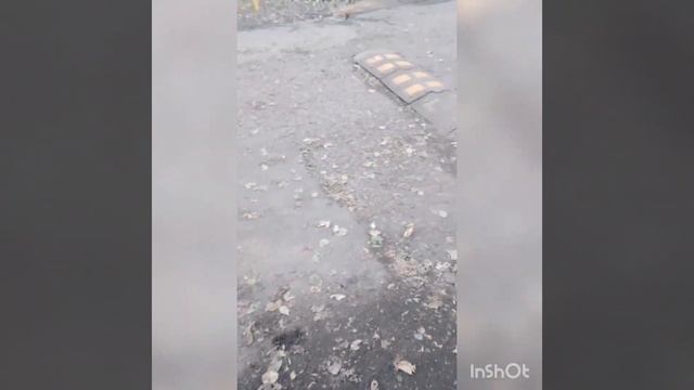 Делали сделали,всё для безопасности,детей школьников,и все деньги,бюджетные ушли в пустую 👎👎👎!!! смотреть онлайн