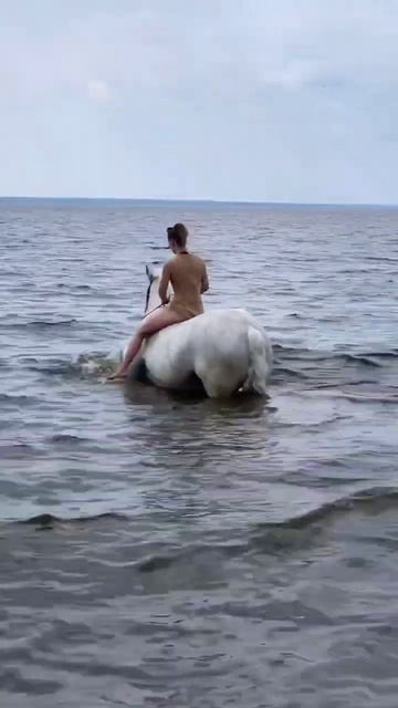 люблю этих больших кошек ❤️ #trend #лошади #horse #horoscope #summer #status #nature #sport #love смотреть онлайн